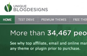 Unique Blog Designs Site