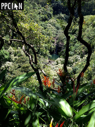 Maui Hawaii Waterfall