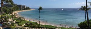 Maui Sheraton Black Rock View